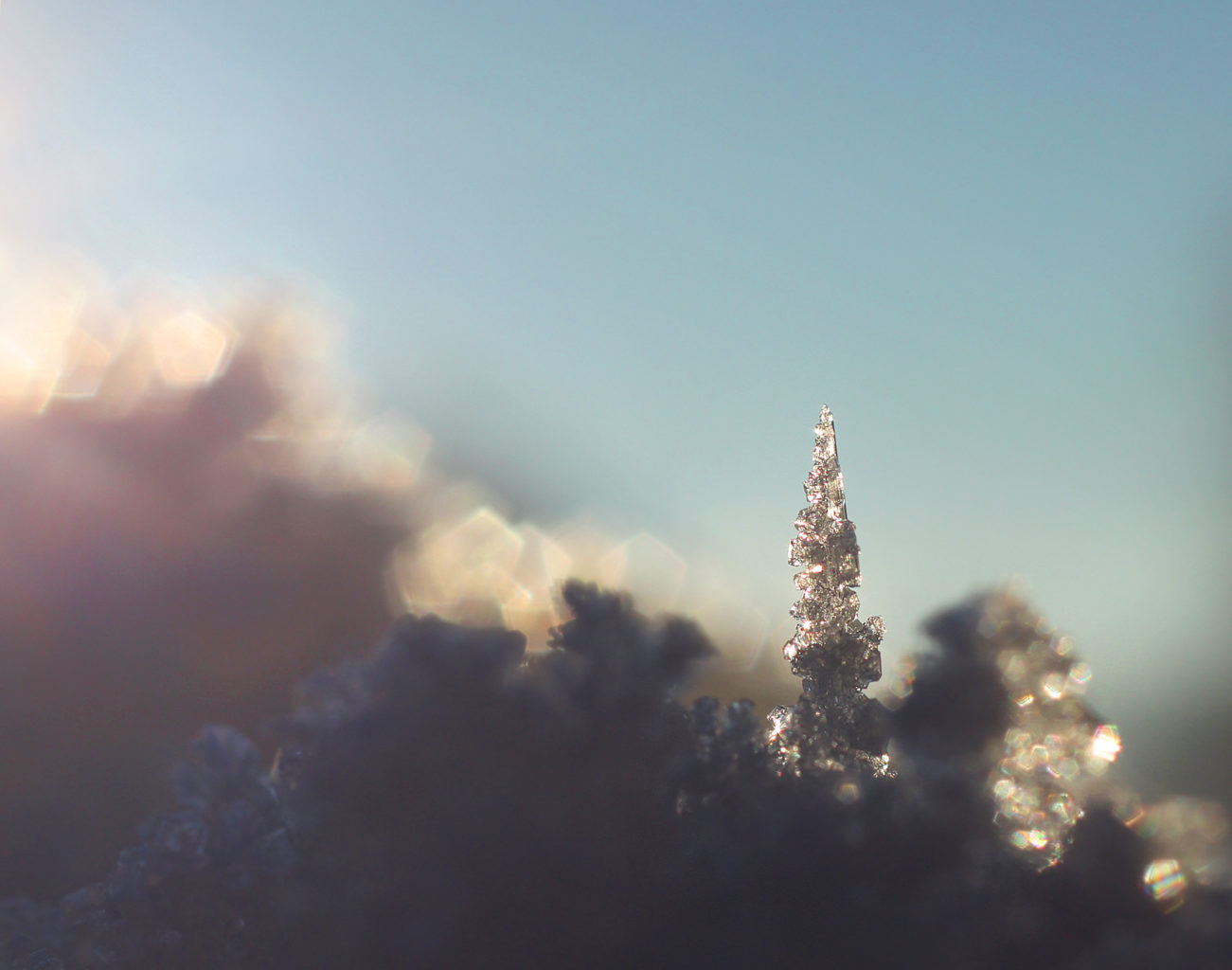 Valokuvaaja: Tarja Porkkala Valokuvaaja: Tarja Porkkala