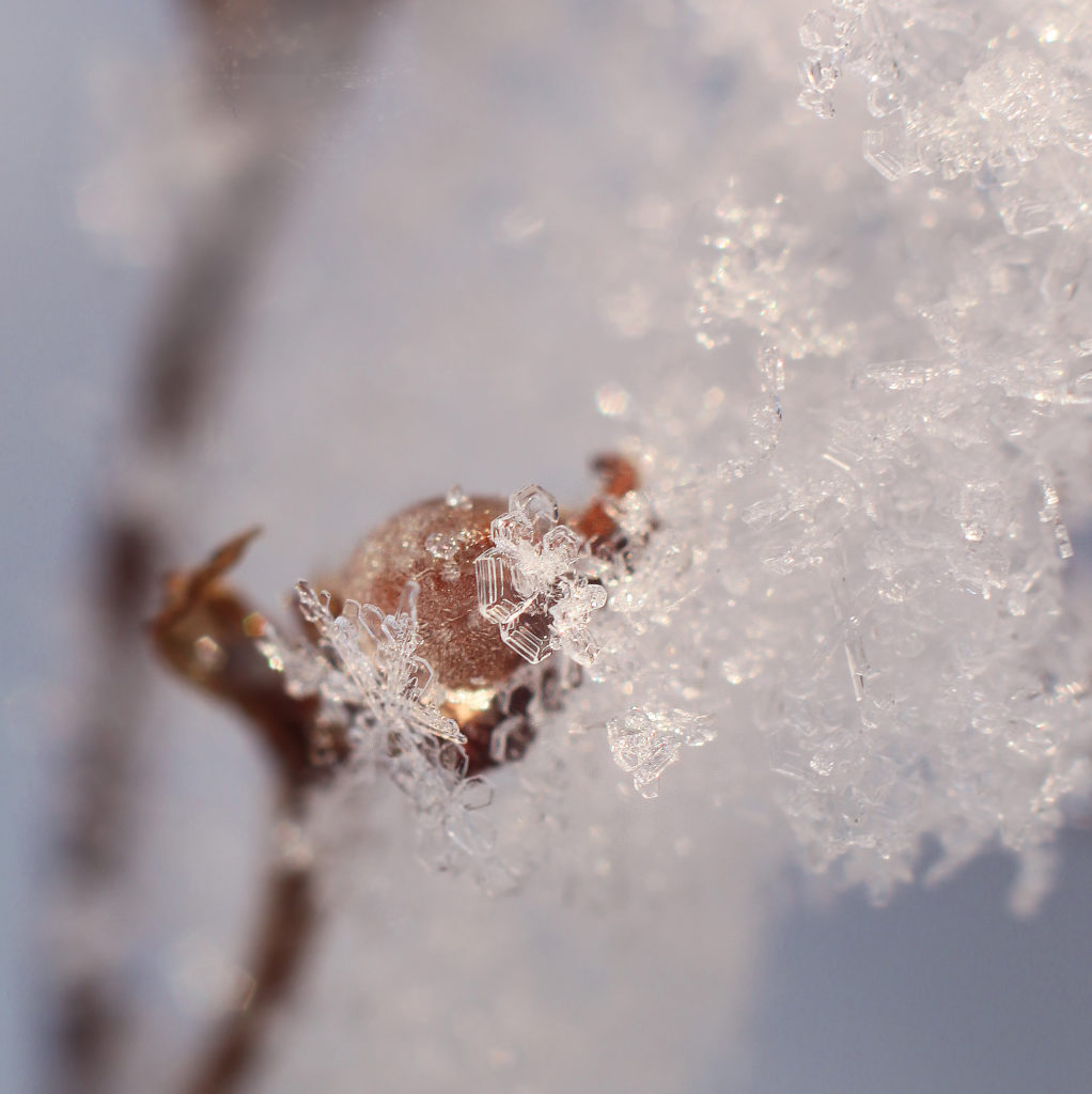Valokuvaaja: Tarja Porkkala