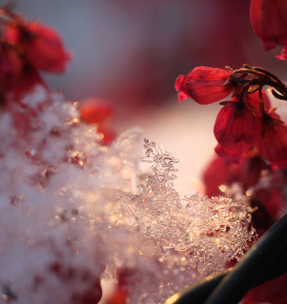 Valokuvaaja: Tarja Porkkala