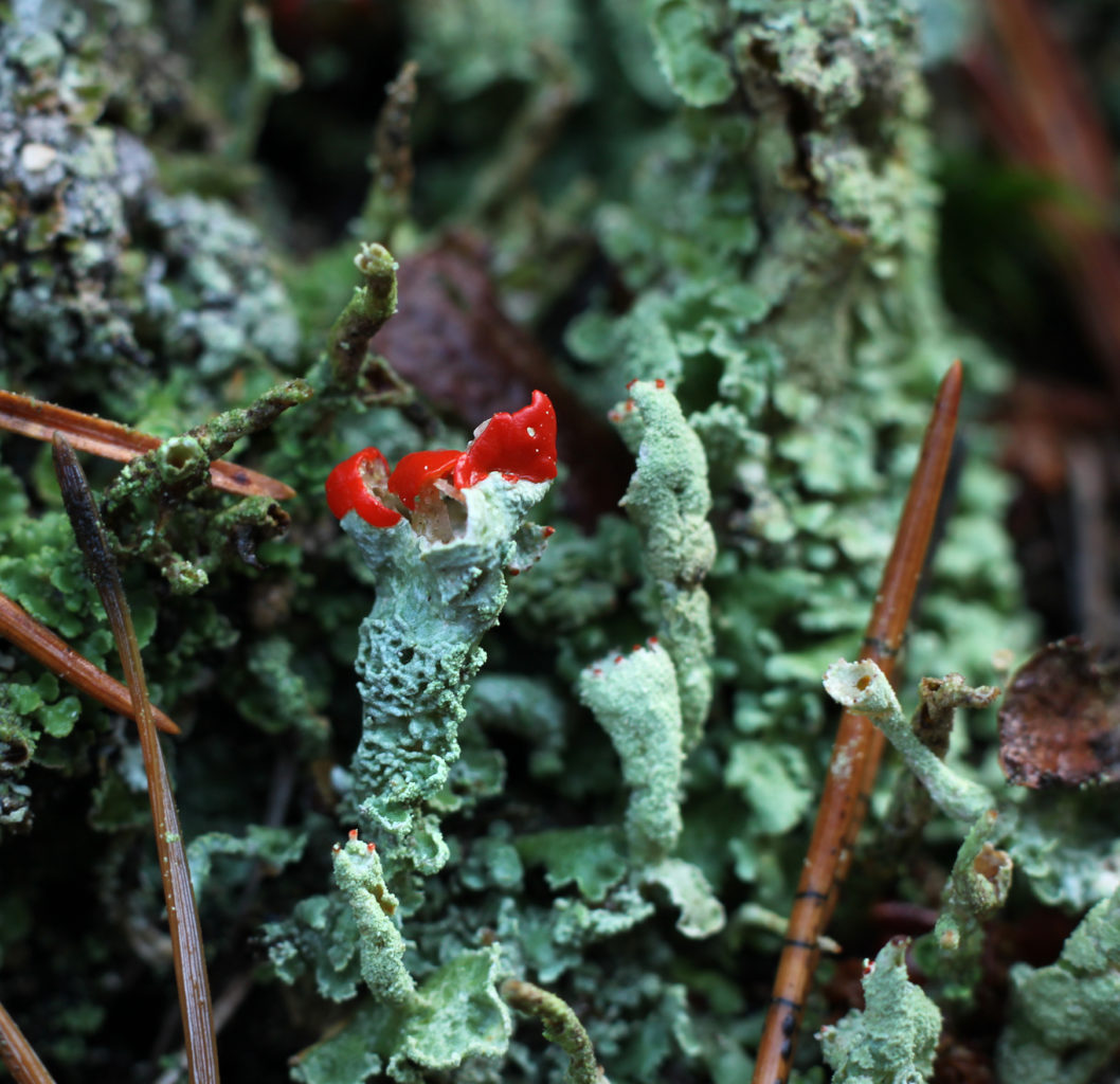 Valokuvaaja: Tarja Porkkala