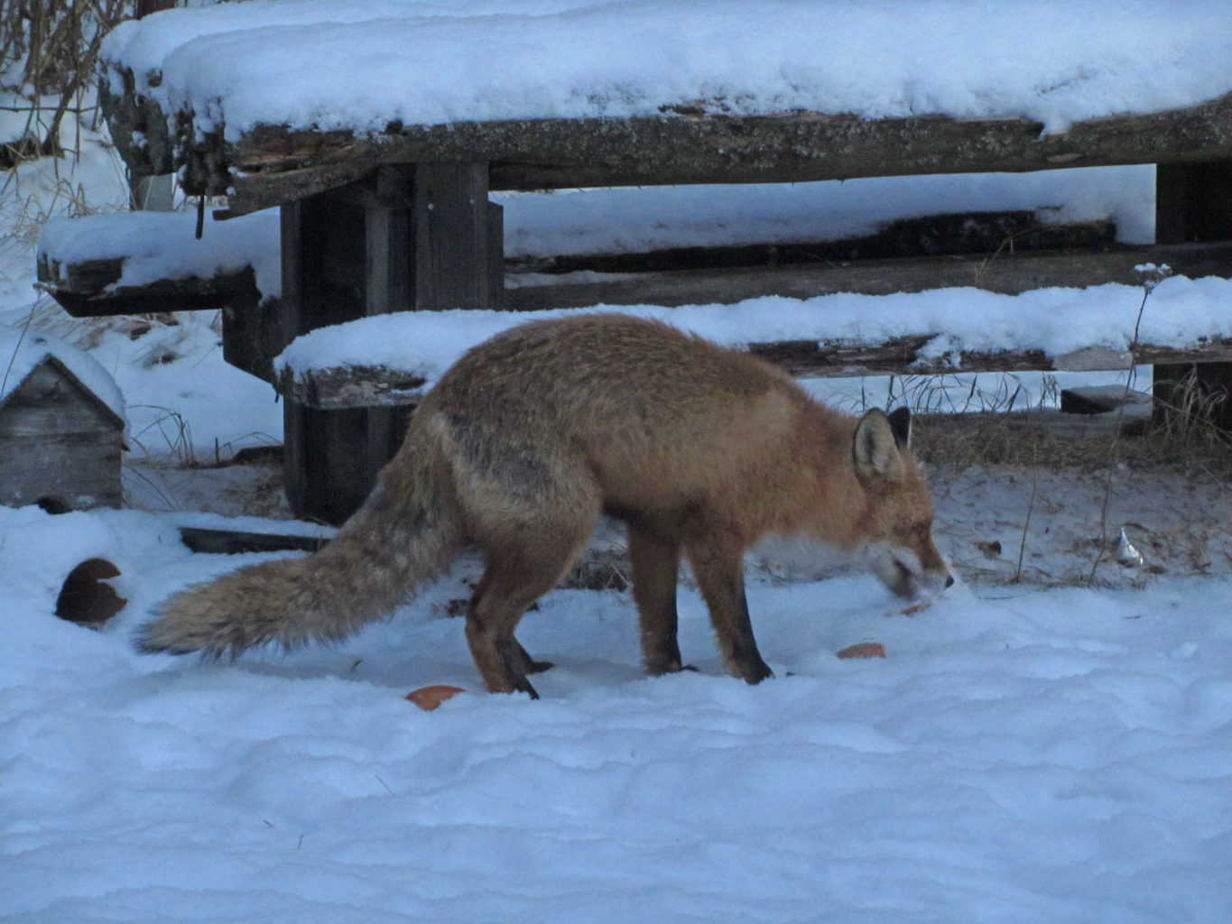 Valokuvaaja: Marja Nevalainen