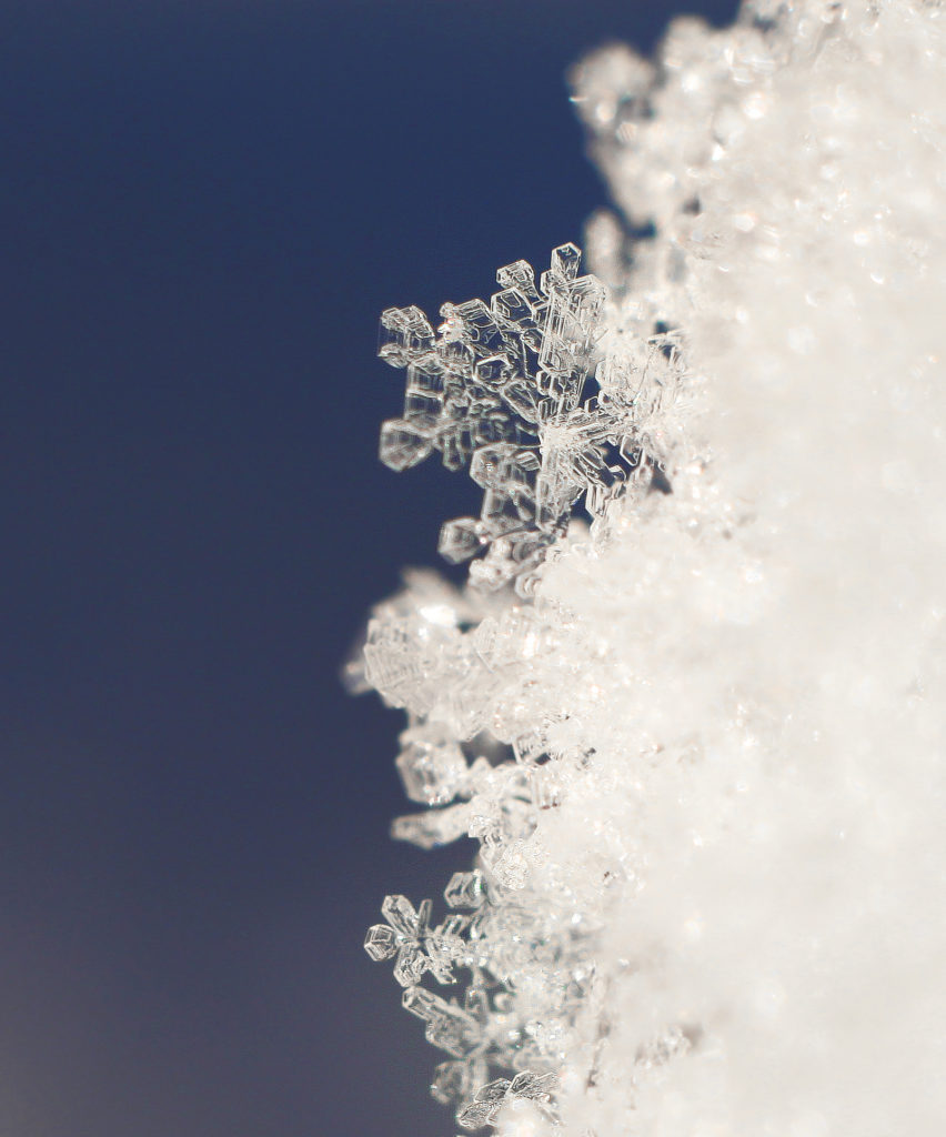Valokuvaaja: Tarja Porkkala