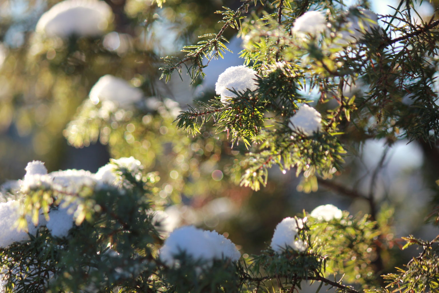 Valokuvaaja: Eeva Lähdesmäki