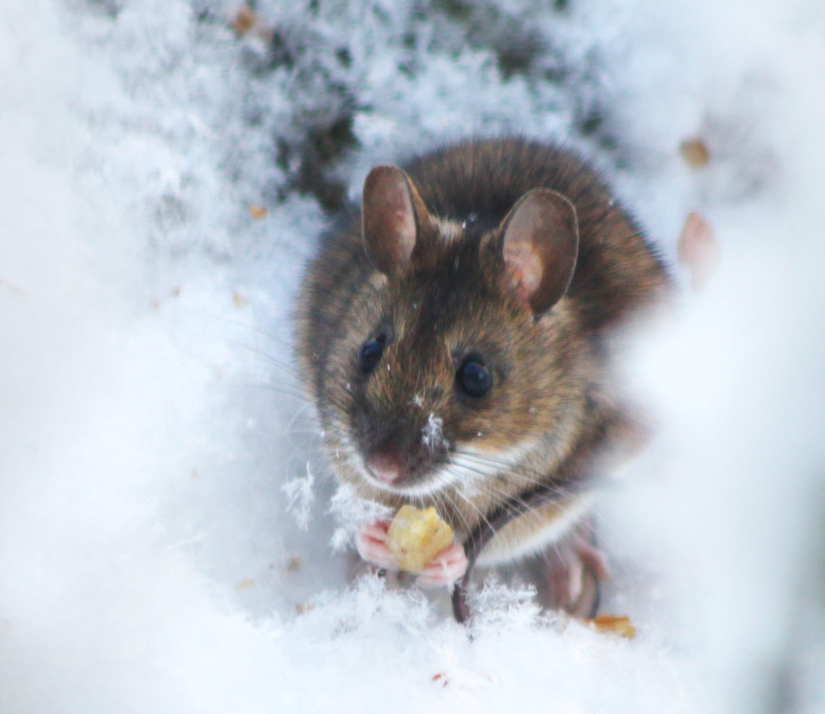 Valokuvaaja: Tarja Porkkala