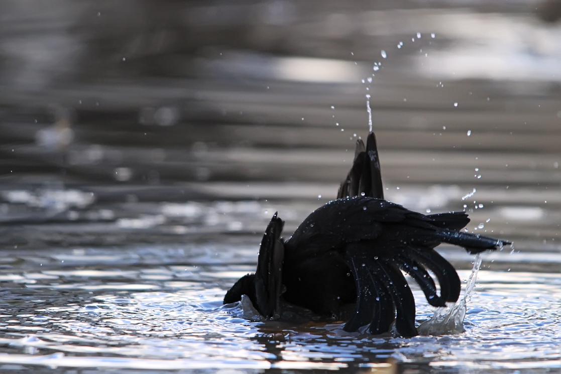 Valokuvaaja: Jon Rikberg