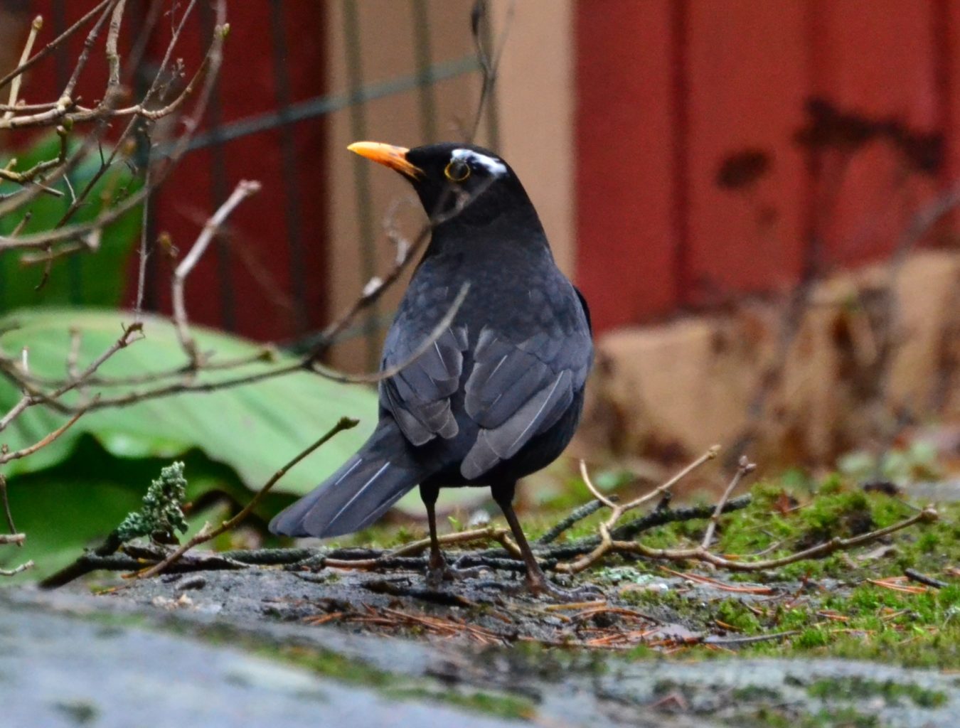 Valokuvaaja: Noora Andersson 