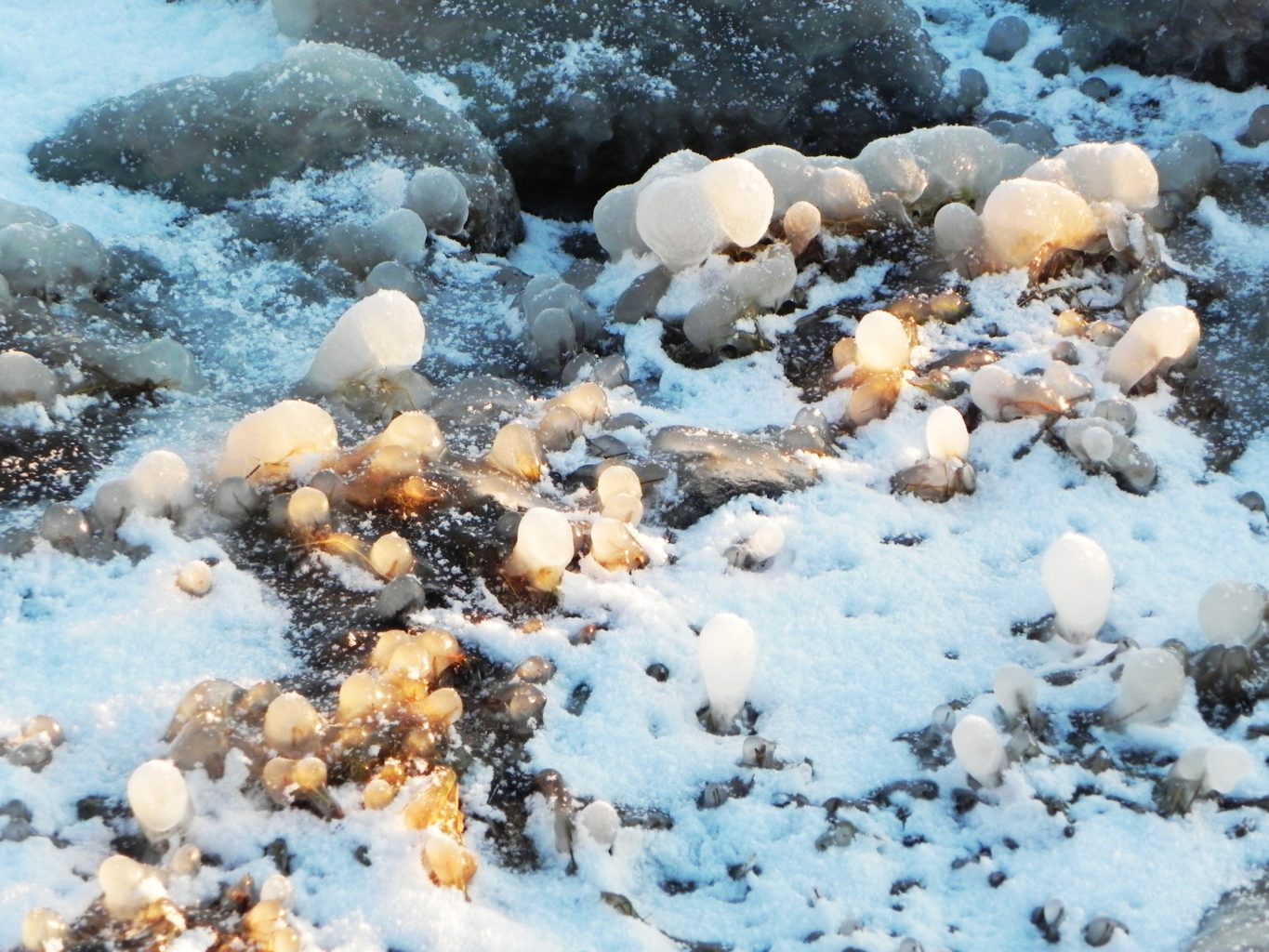 Valokuvaaja: Maritta Hakola