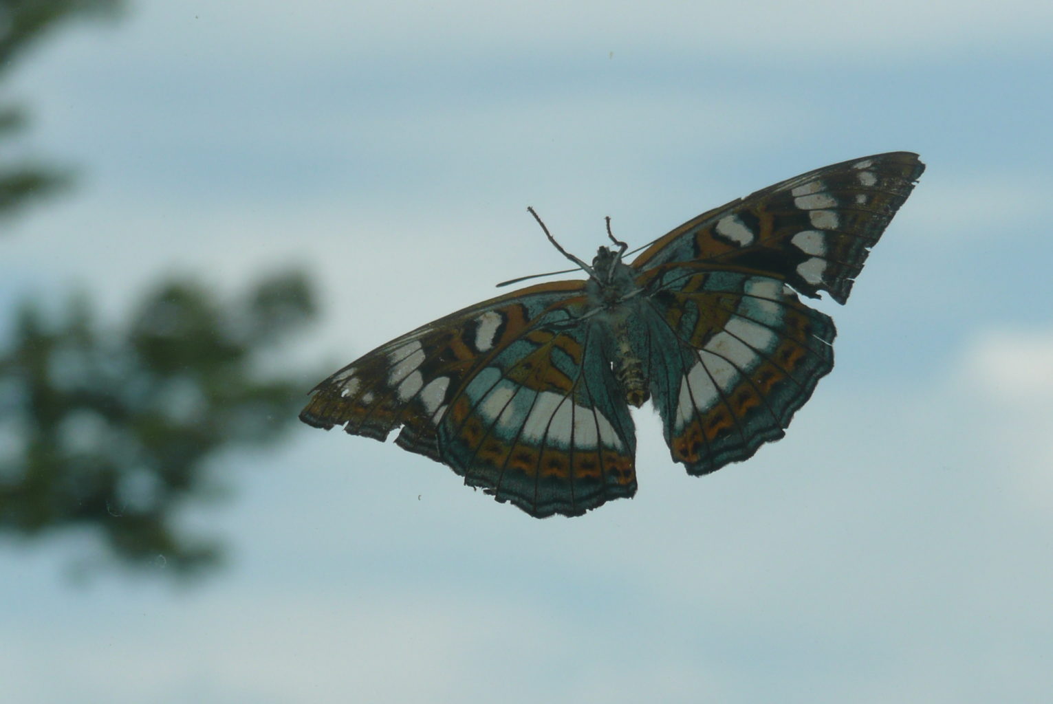 Valokuvaaja: Tuula Vallavuori