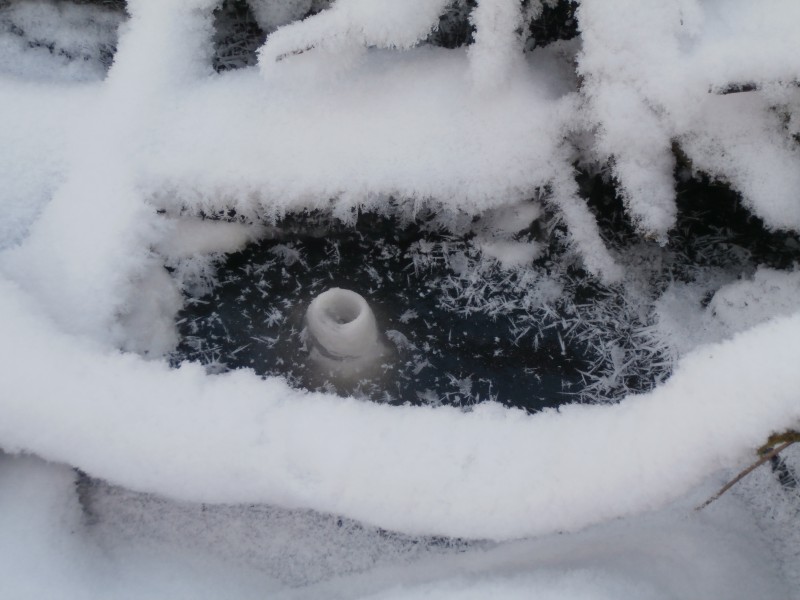 Valokuvaaja: Taina Kankare