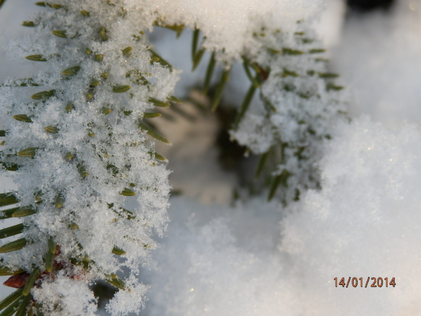 Valokuvaaja: Eeva-Liisa Rissanen