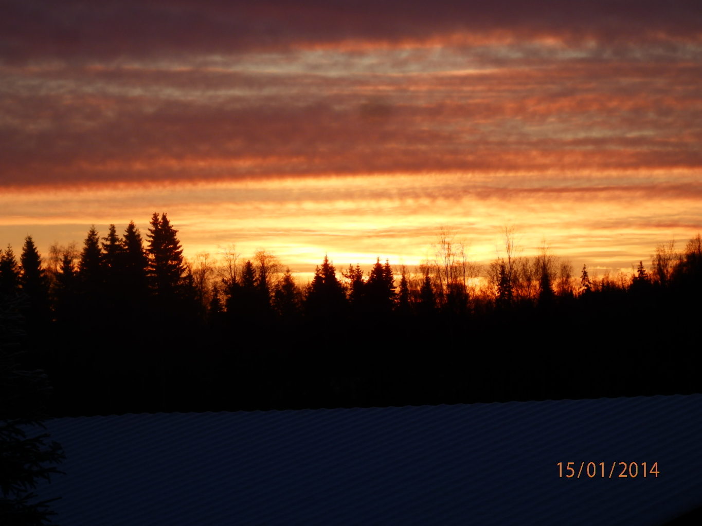 Valokuvaaja: Eeva-Liisa Rissanen