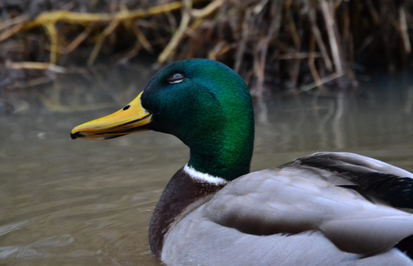 Valokuvaaja: Jesper Andersson