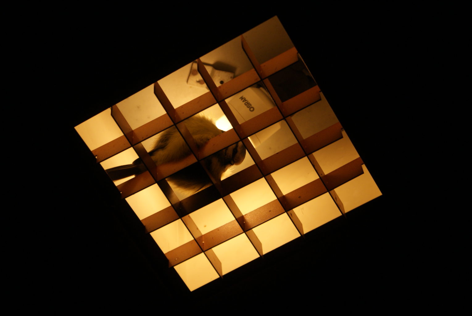 Valokuvaaja: Helena Sytelä