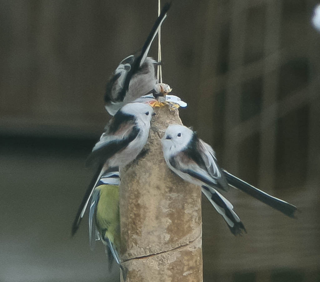 Valokuvaaja: Seija Wilen