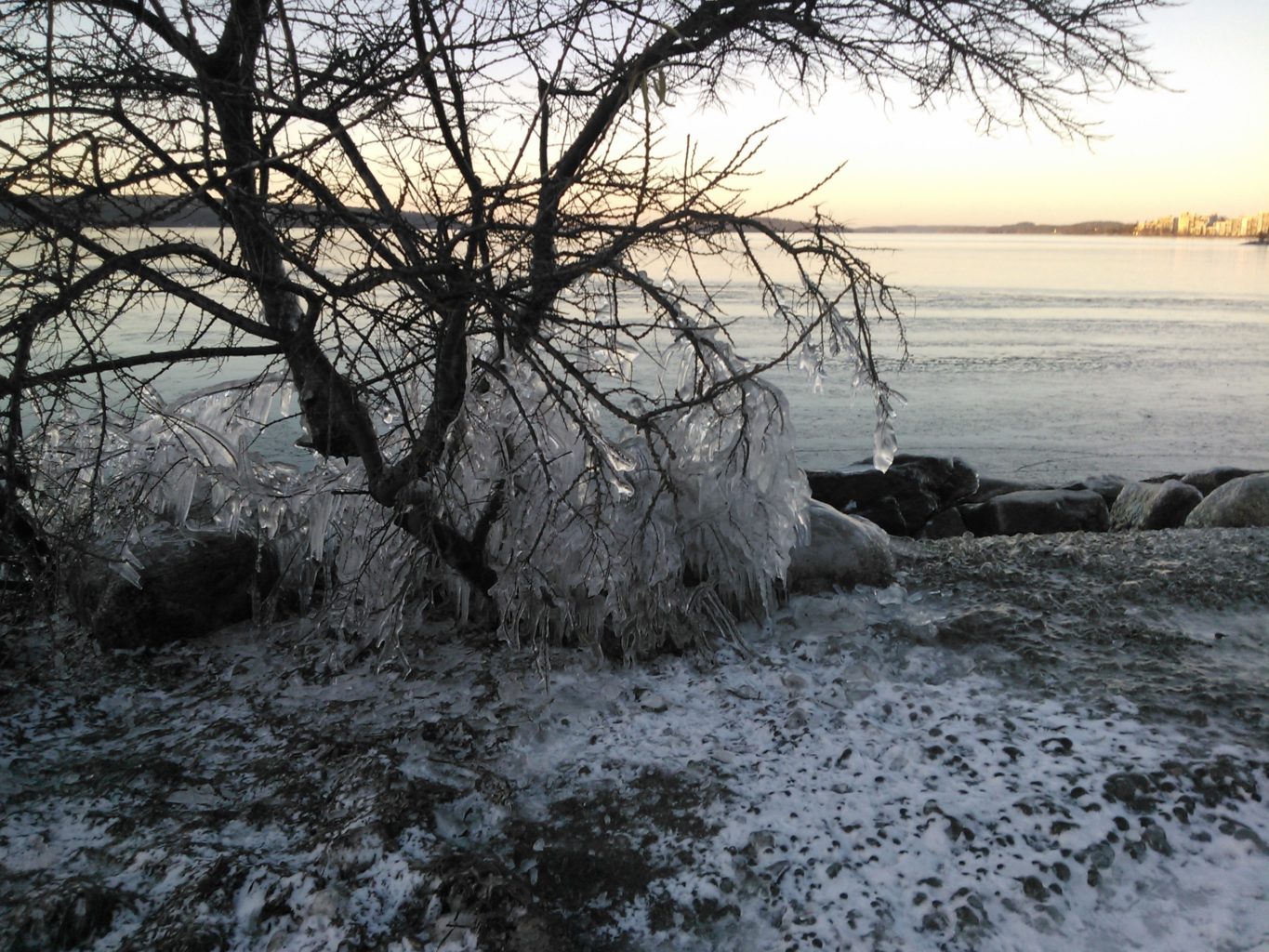 Valokuvaaja: Arja Seppälä