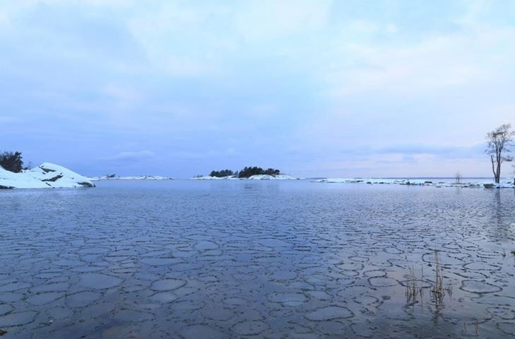 Valokuvaaja: Sanna Kaisla-Jokinen