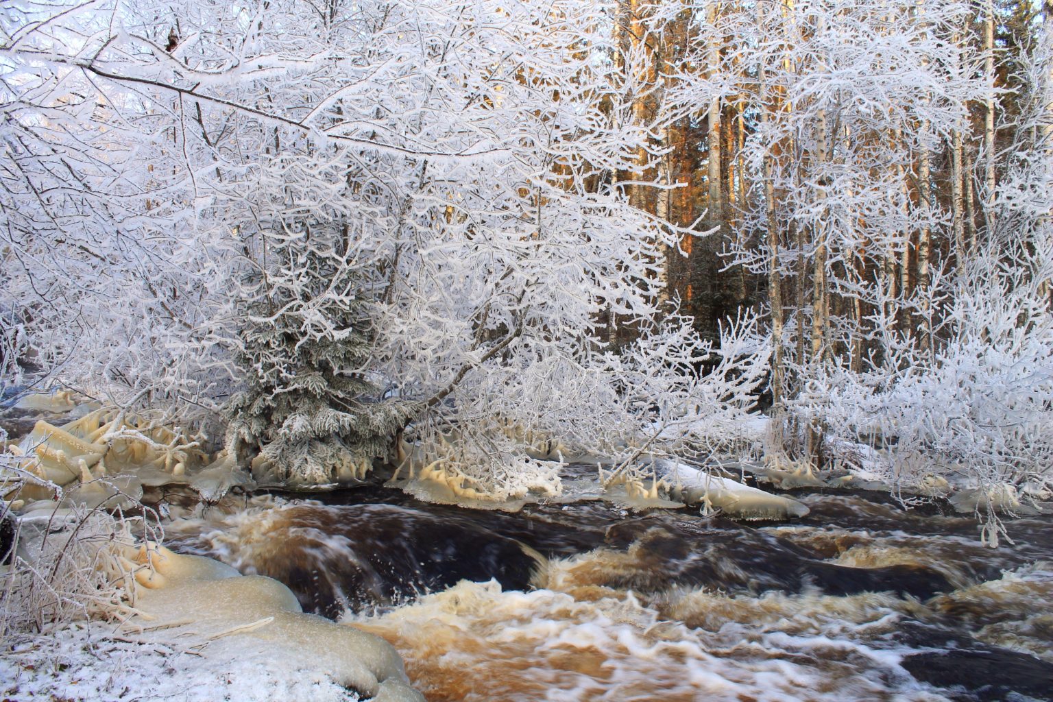 Valokuvaaja: Gary Littler