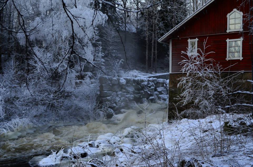 Valokuvaaja: Eija Varjola Valokuvaaja: Eija Varjola