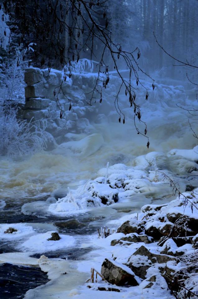 Valokuvaaja: Eija Varjola