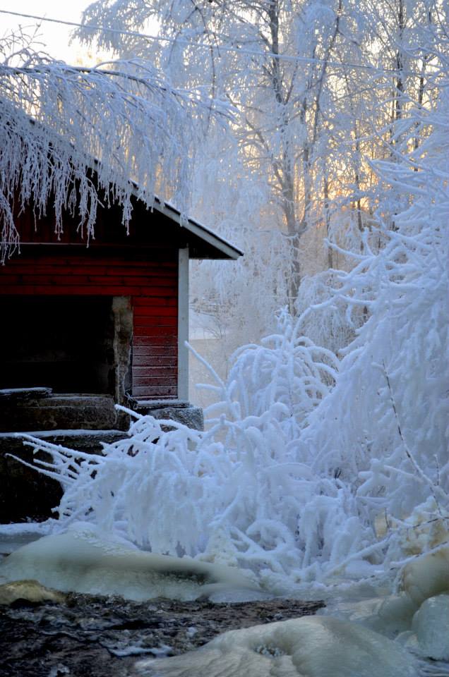Valokuvaaja: Eija Varjola