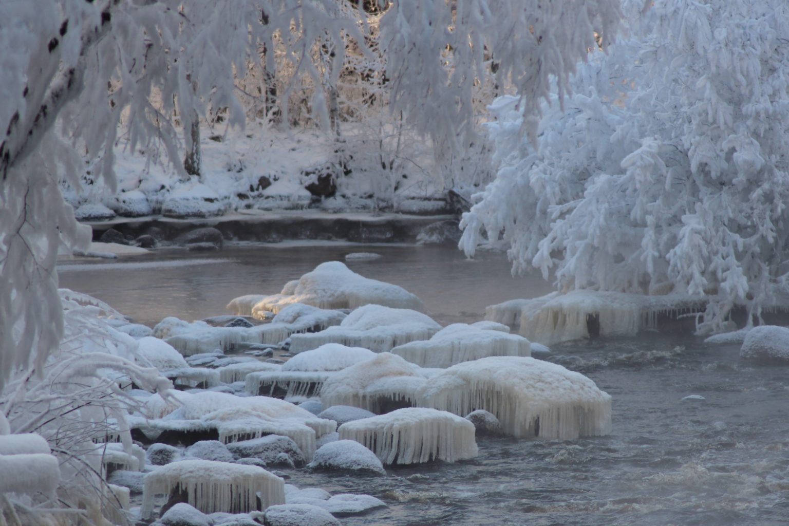 Valokuvaaja: Reijo Jalava