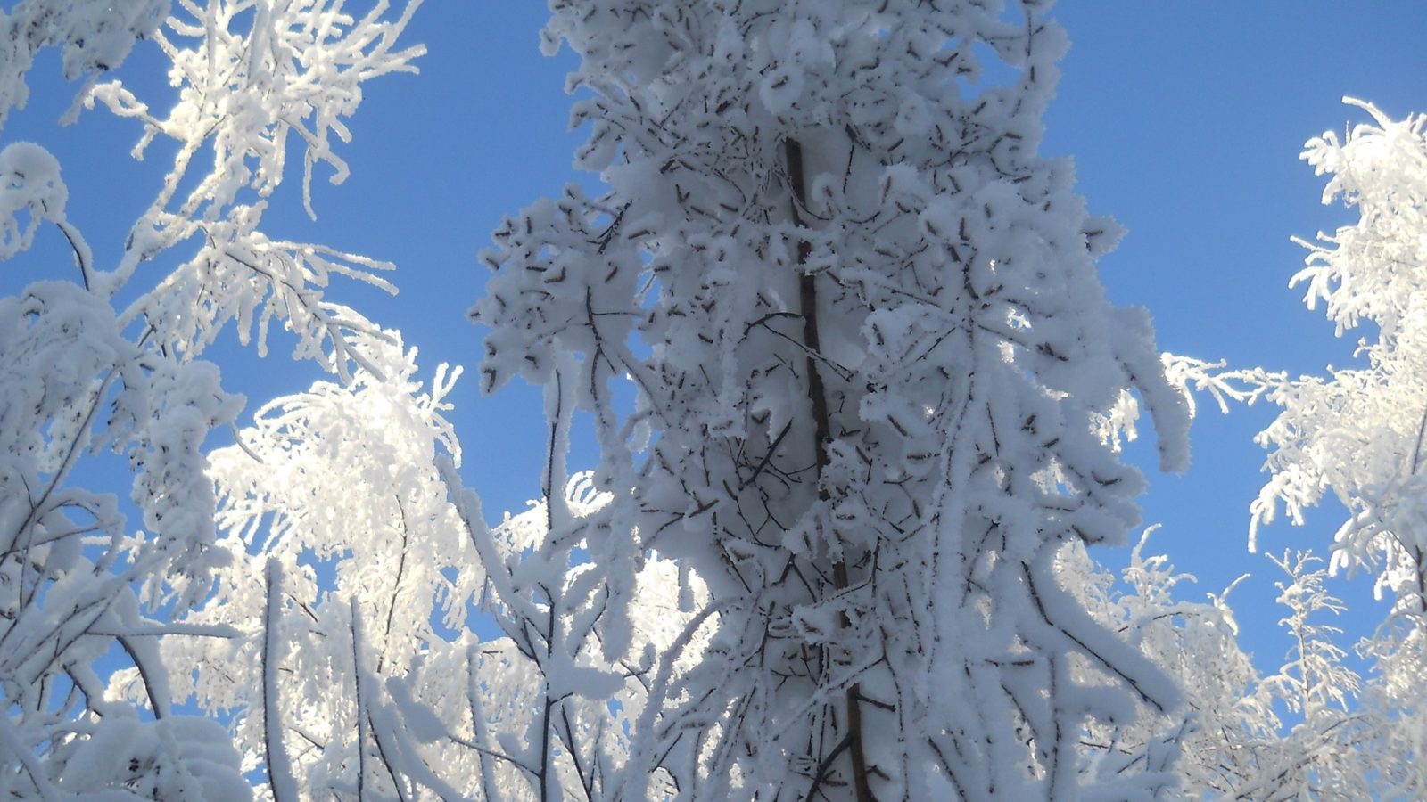 Valokuvaaja: Lea Mäurä
