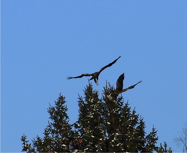 Valokuvaaja: Sanna Kaisla-Jokinen Valokuvaaja: Sanna Kaisla-Jokinen