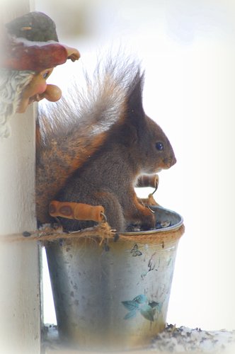 Valokuvaaja: Eija Varjola Valokuvaaja: Eija Varjola