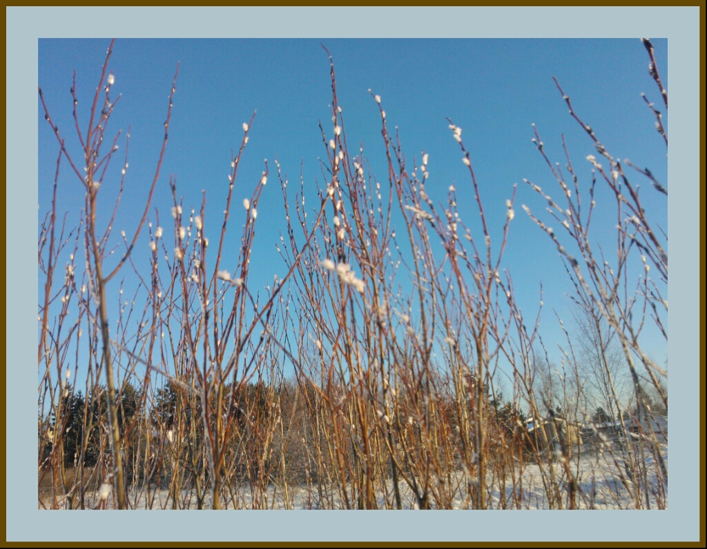 Valokuvaaja: Marja-Leena Koskinen