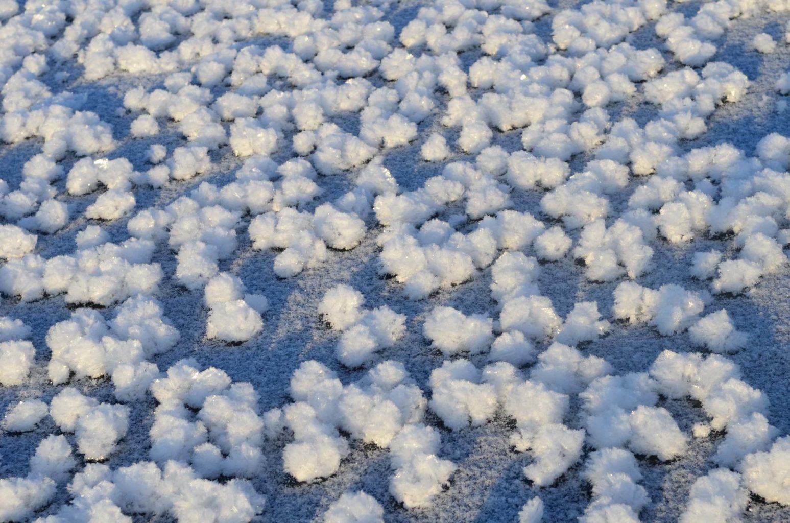 Valokuvaaja: Ulla Kelavuori