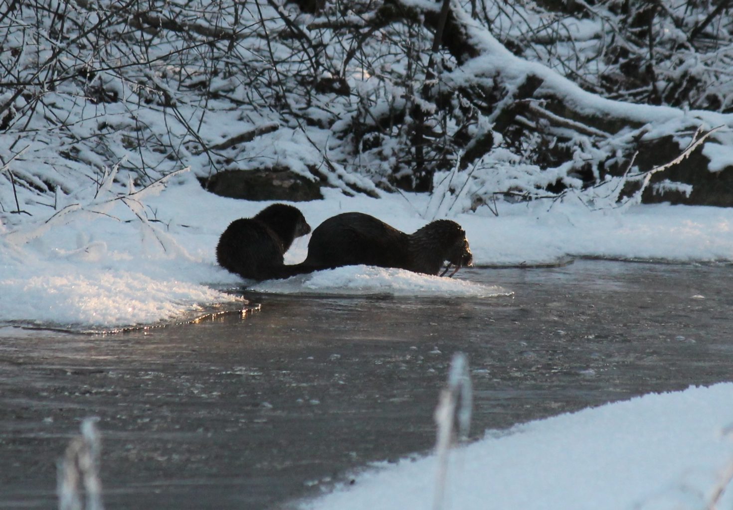 Valokuvaaja: minna tuomisto-lehtinen