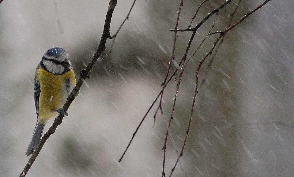 Valokuvaaja: Eija Varjola