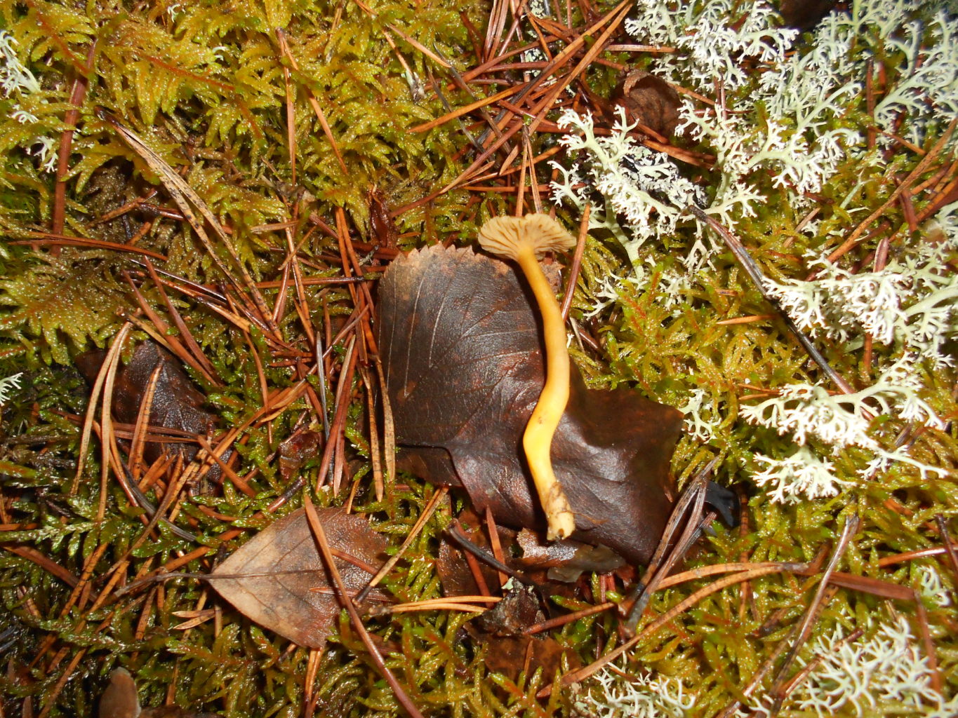 Valokuvaaja: Marja Aho