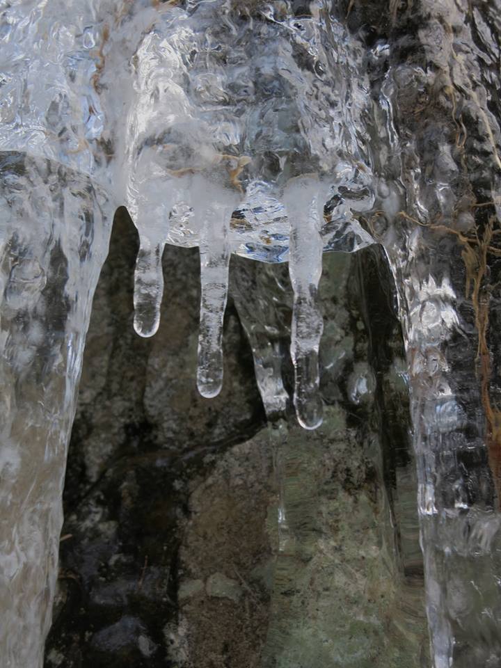 Valokuvaaja: Satu Vaarula