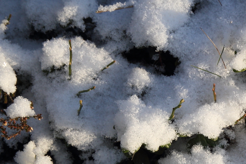 Valokuvaaja: Hanna Järvinen