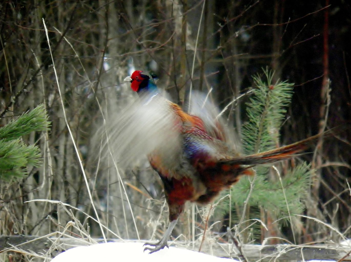 Valokuvaaja: Tuulikki Piikkilä