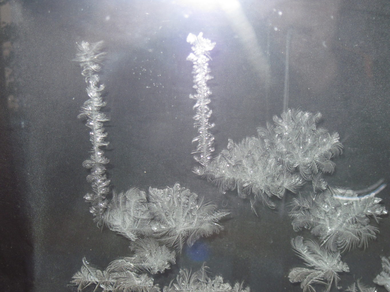 Valokuvaaja: Taisto Padatsu