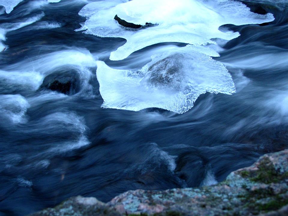 Valokuvaaja: Mervi M. Utria