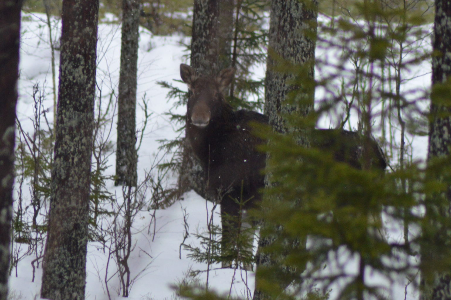 Valokuvaaja: Eetu Berg