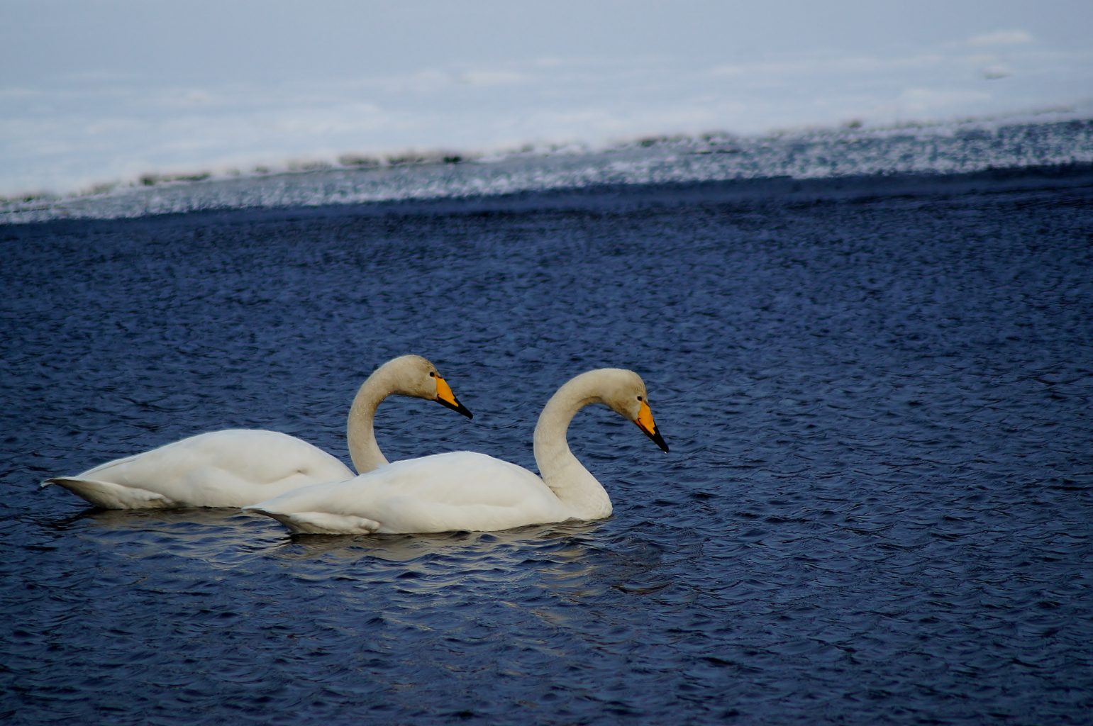 Valokuvaaja: Maarit Siitonen
