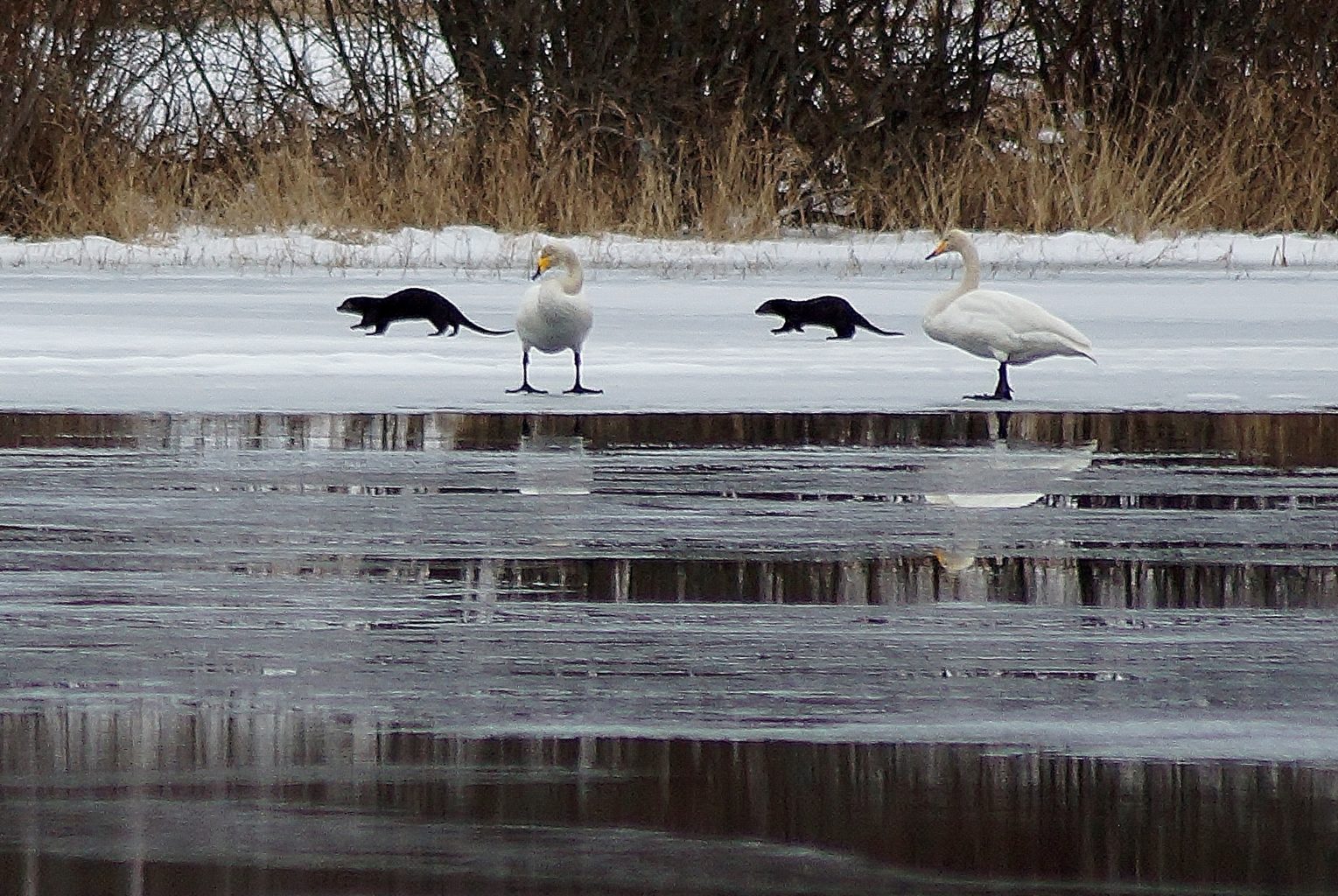 Valokuvaaja: Maarit Siitonen