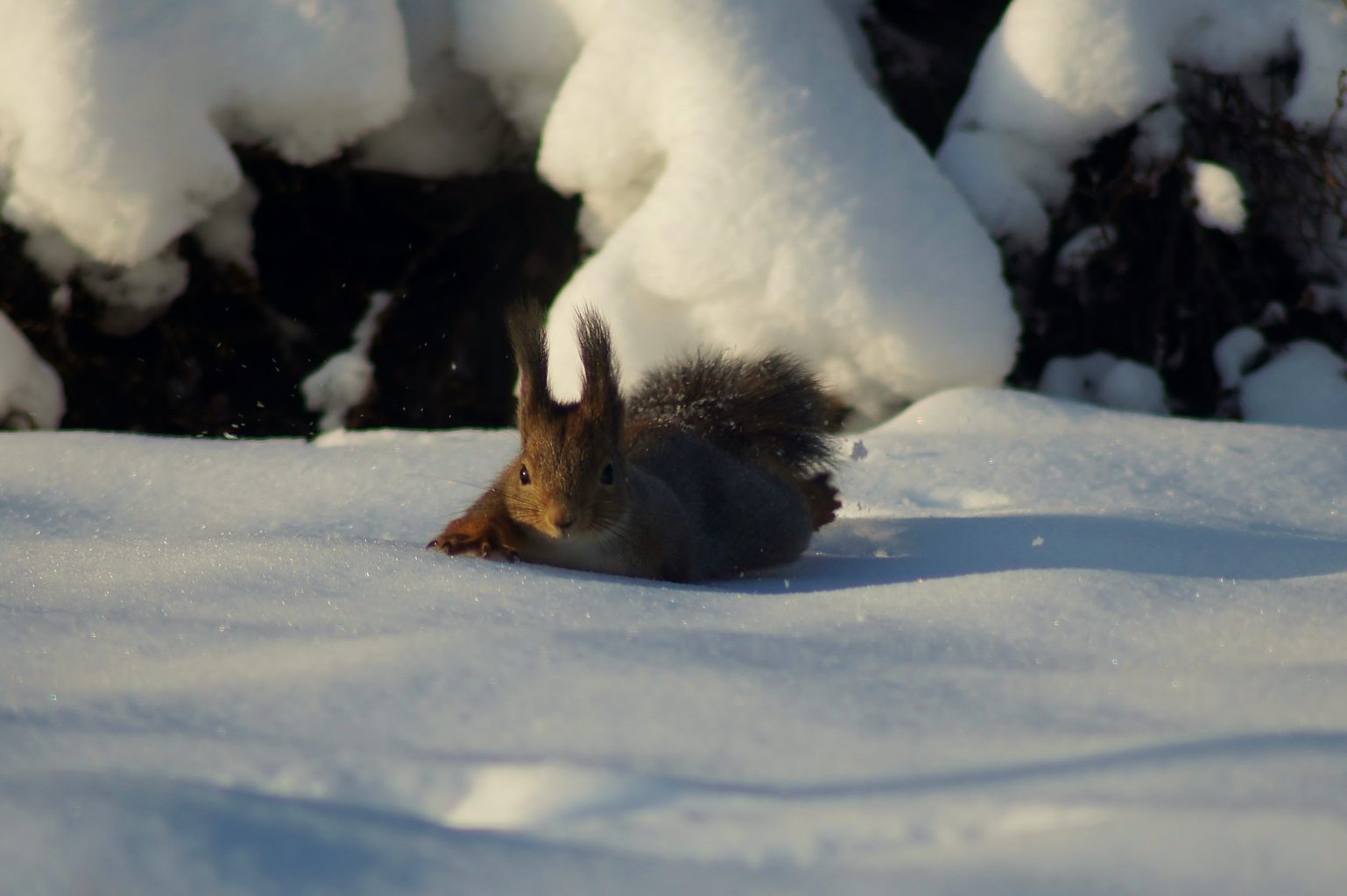Valokuvaaja: Tuulikki Piikkilä
