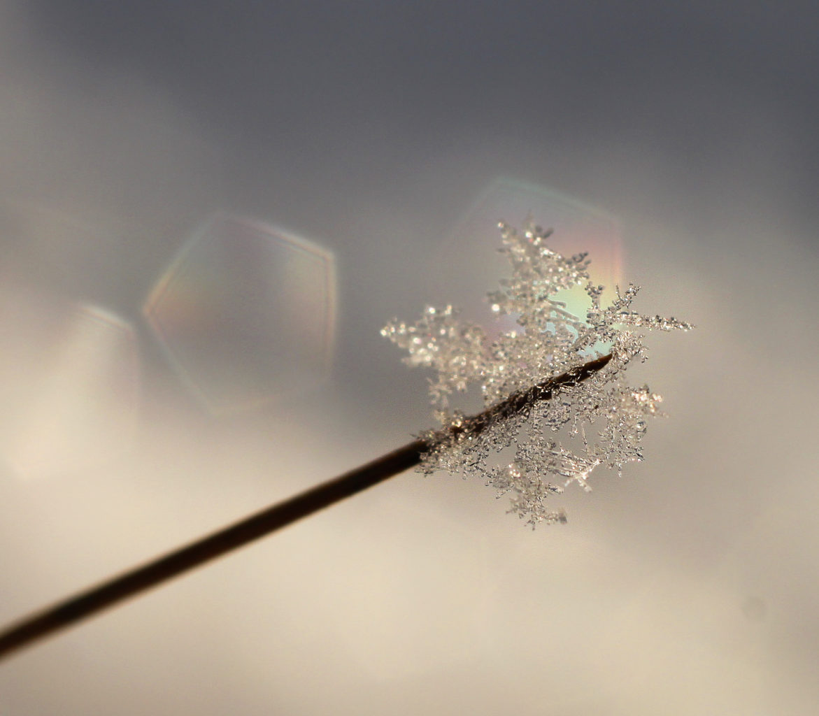 Valokuvaaja: Tarja Porkkala