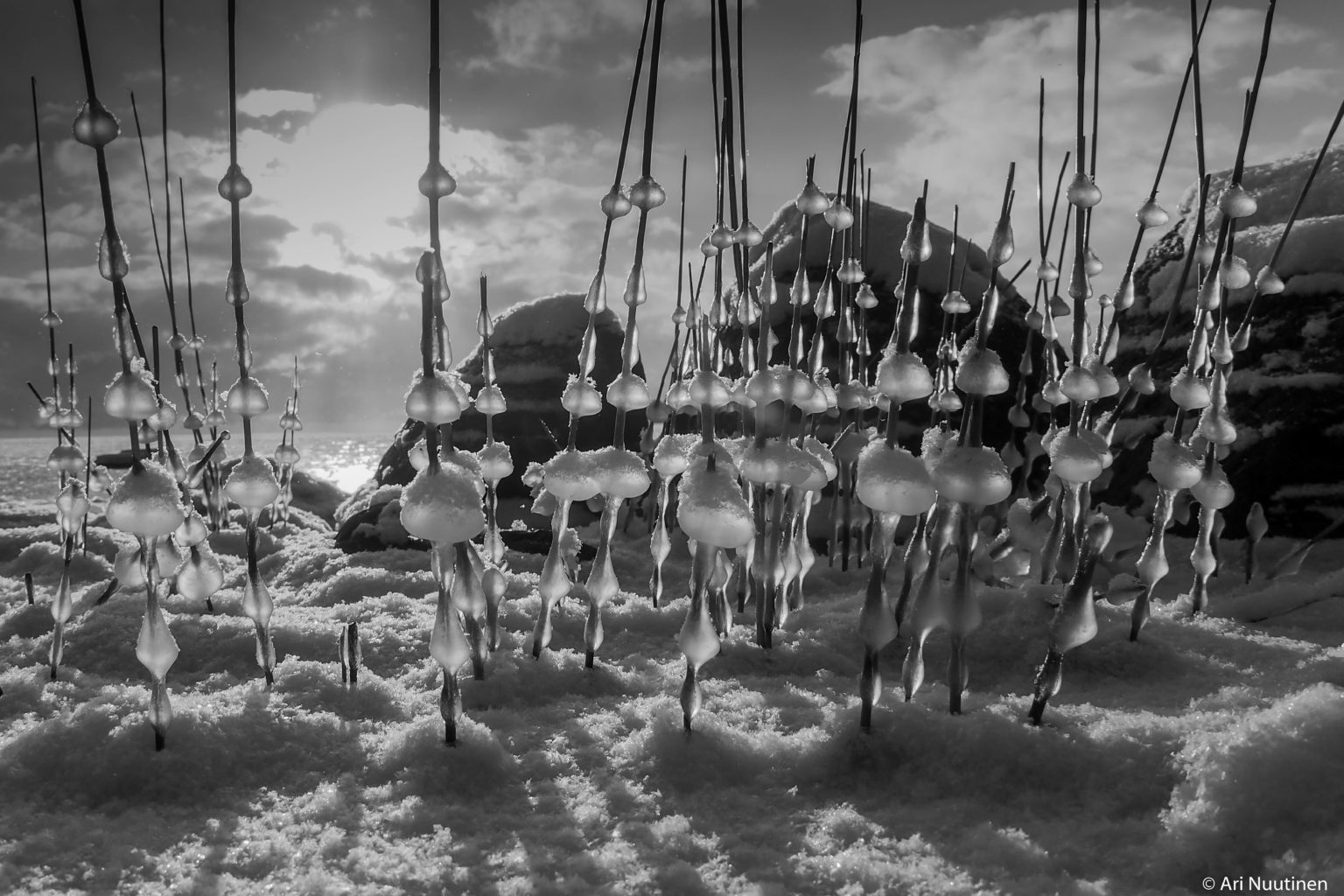 Valokuvaaja: Ari Nuutinen