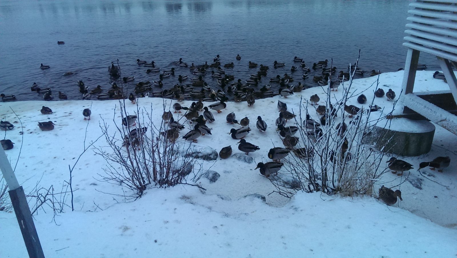 Valokuvaaja: Jutta Lehto