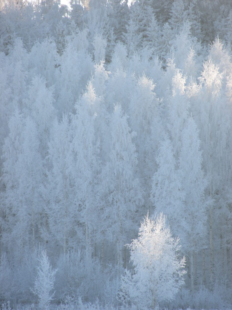 Valokuvaaja: Virpi Sinervo Valokuvaaja: Virpi Sinervo