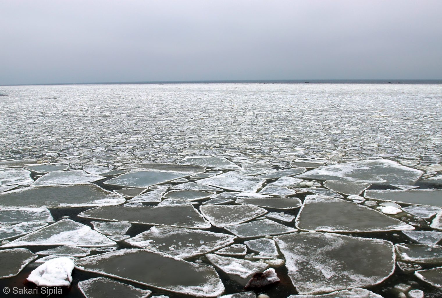Valokuvaaja: Sakari Sipilä