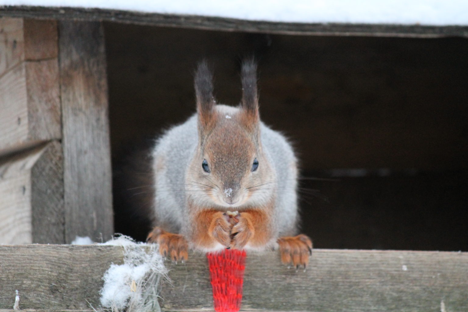 Valokuvaaja: tuomisto-lehtinen minna