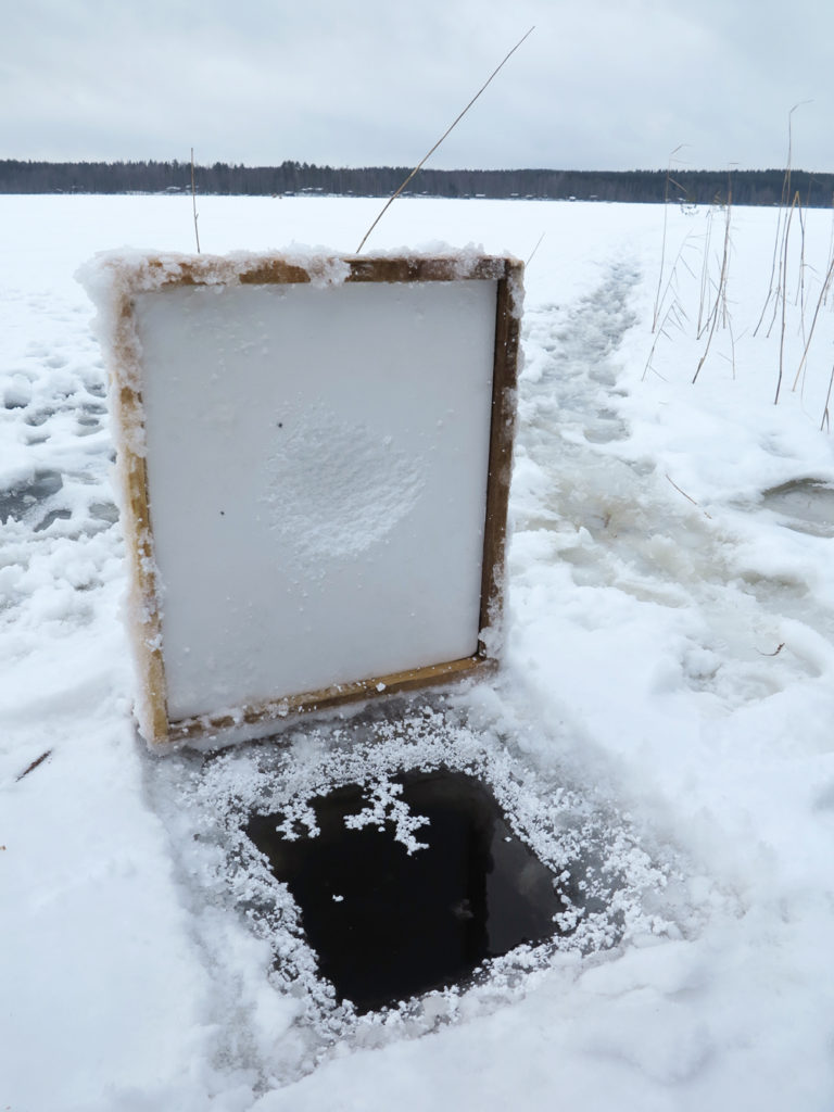 Valokuvaaja: Kati Kinnunen