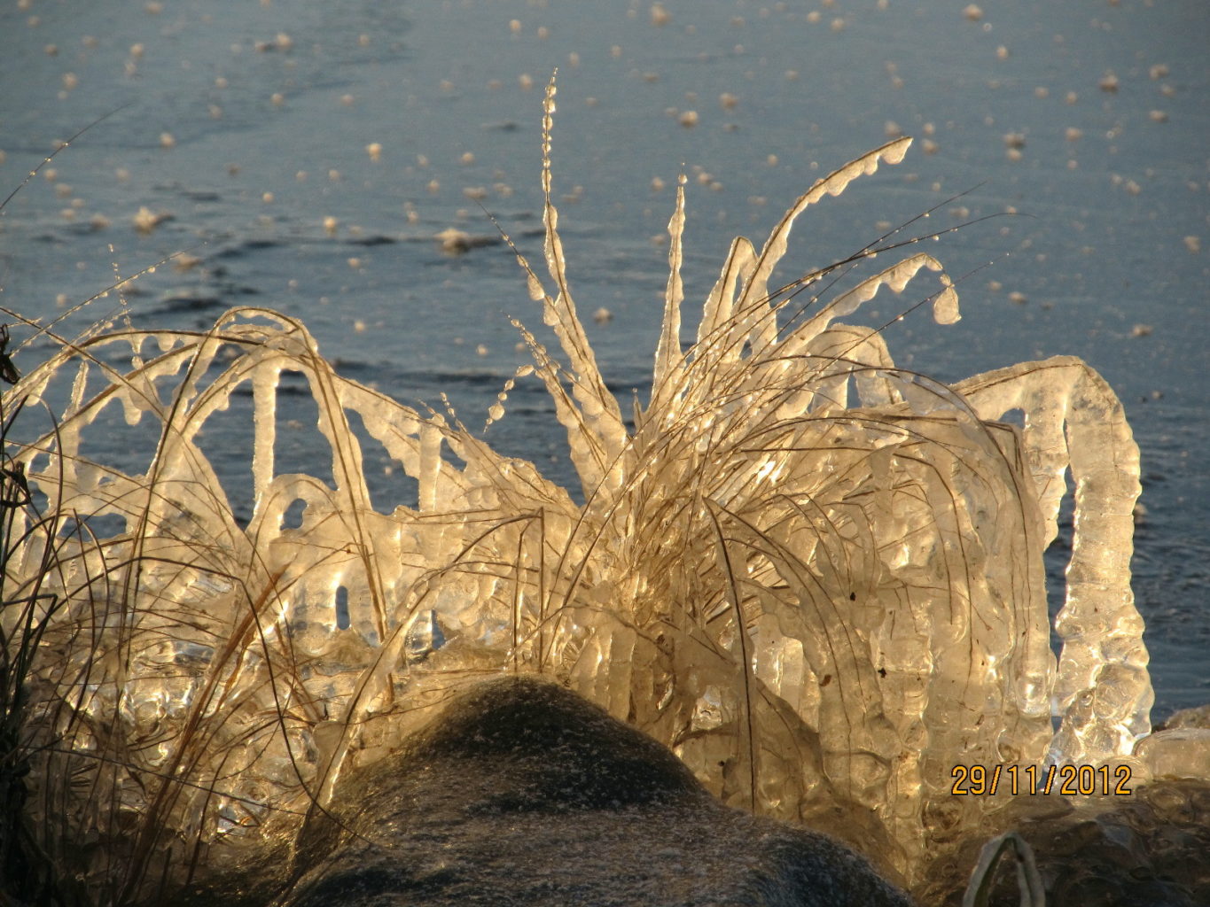 Valokuvaaja: Tuula Makkonen